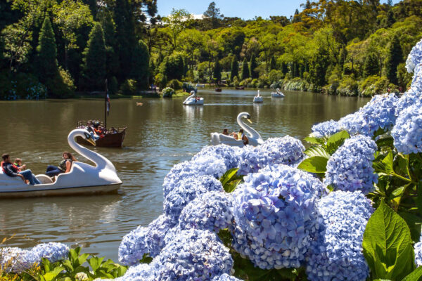 1-lago-negro-hortensias-cleiton-thiele