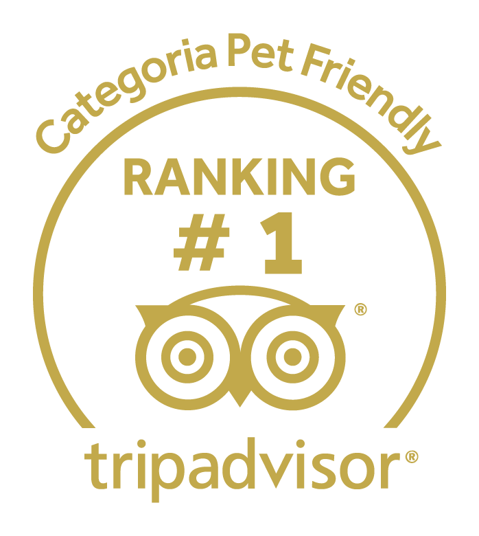 Selo Tripadvisor Hotel Fioreze Quero Quero